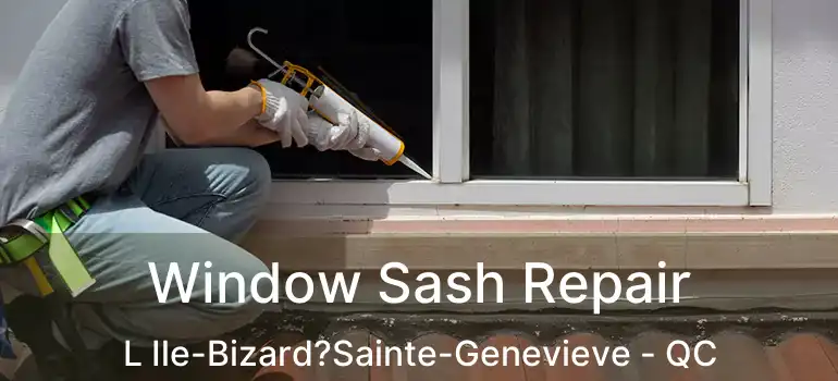  Window Sash Repair L Ile-Bizard?Sainte-Genevieve - QC