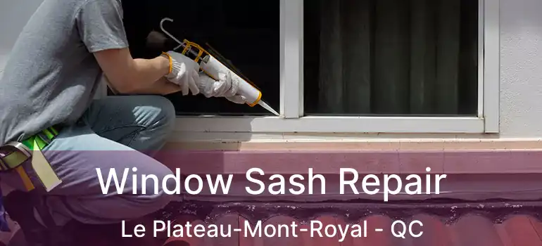  Window Sash Repair Le Plateau-Mont-Royal - QC