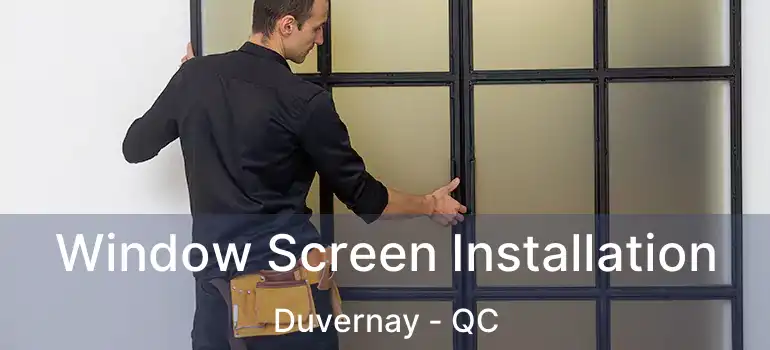 Window Screen Installation Duvernay - QC