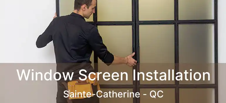  Window Screen Installation Sainte-Catherine - QC