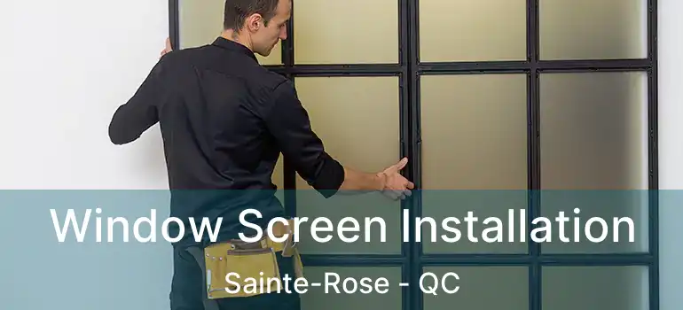  Window Screen Installation Sainte-Rose - QC