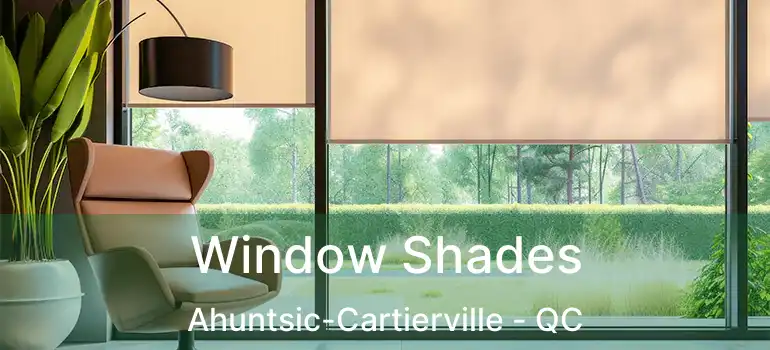  Window Shades Ahuntsic-Cartierville - QC