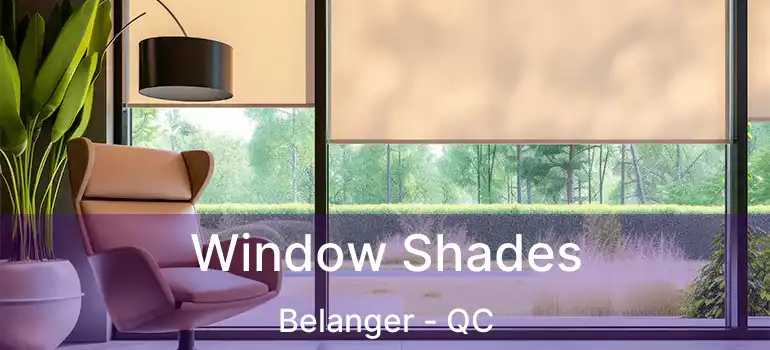  Window Shades Belanger - QC