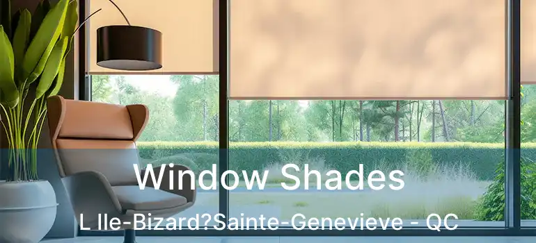  Window Shades L Ile-Bizard?Sainte-Genevieve - QC