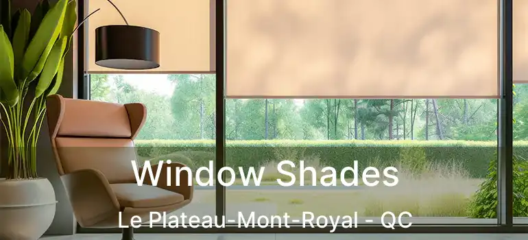  Window Shades Le Plateau-Mont-Royal - QC