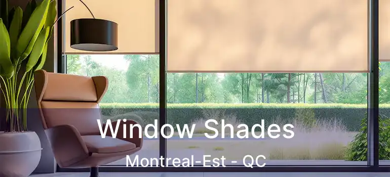  Window Shades Montreal-Est - QC