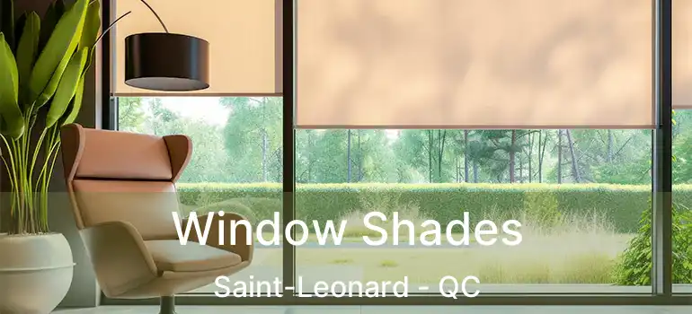  Window Shades Saint-Leonard - QC
