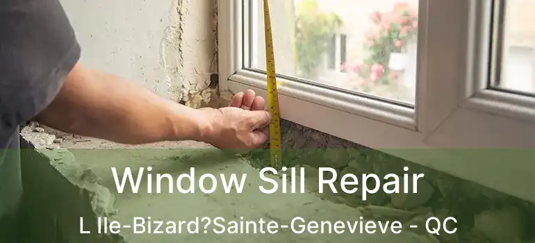  Window Sill Repair L Ile-Bizard?Sainte-Genevieve - QC