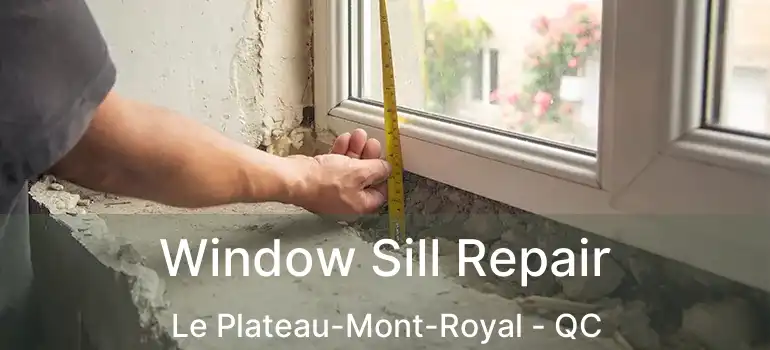  Window Sill Repair Le Plateau-Mont-Royal - QC