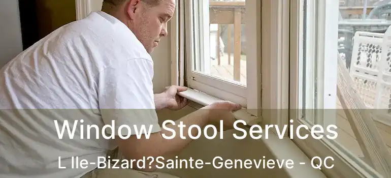  Window Stool Services L Ile-Bizard?Sainte-Genevieve - QC