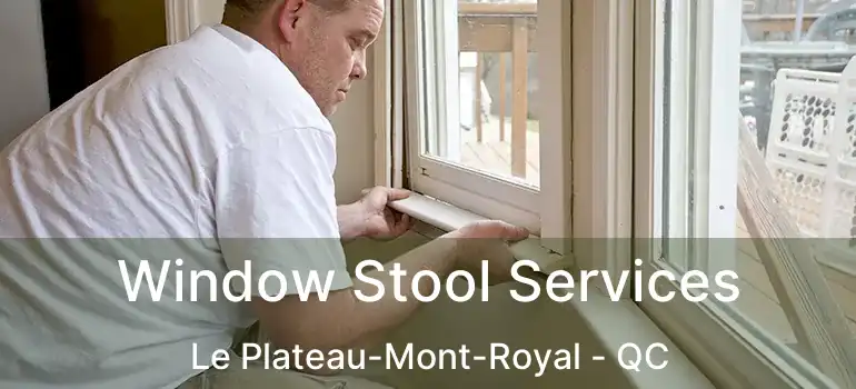  Window Stool Services Le Plateau-Mont-Royal - QC