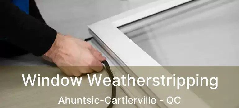  Window Weatherstripping Ahuntsic-Cartierville - QC