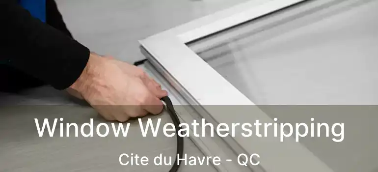  Window Weatherstripping Cite du Havre - QC