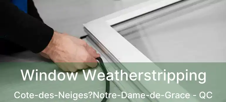  Window Weatherstripping Cote-des-Neiges?Notre-Dame-de-Grace - QC
