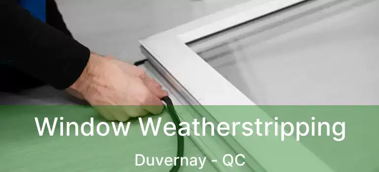 Window Weatherstripping Duvernay - QC