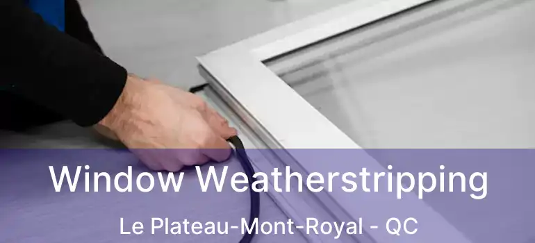  Window Weatherstripping Le Plateau-Mont-Royal - QC
