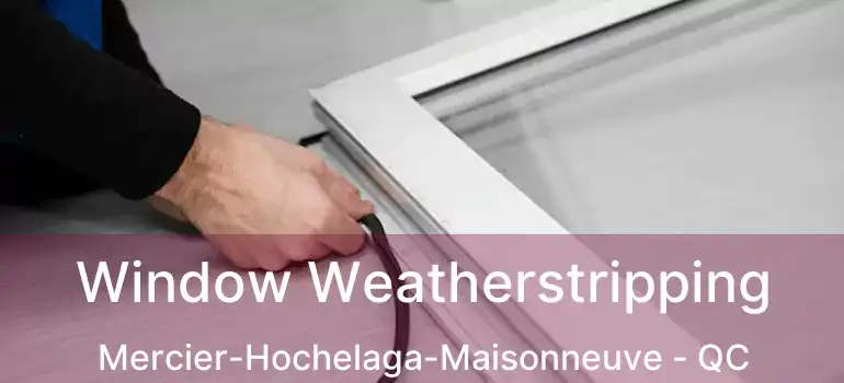  Window Weatherstripping Mercier-Hochelaga-Maisonneuve - QC