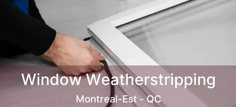  Window Weatherstripping Montreal-Est - QC