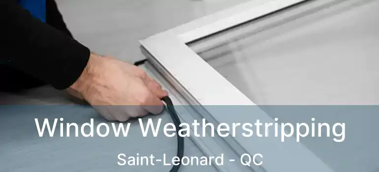  Window Weatherstripping Saint-Leonard - QC