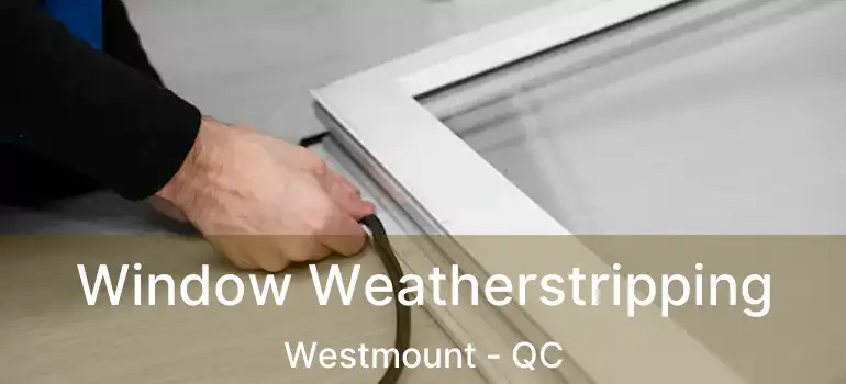  Window Weatherstripping Westmount - QC