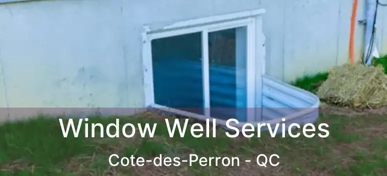 Window Well Services Cote-des-Perron - QC