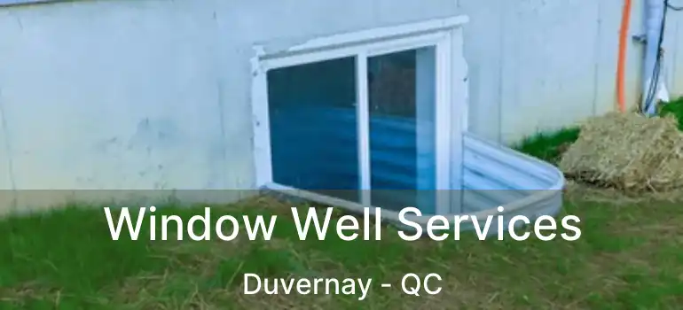  Window Well Services Duvernay - QC