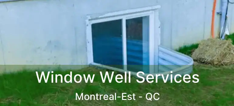  Window Well Services Montreal-Est - QC
