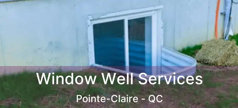  Window Well Services Pointe-Claire - QC