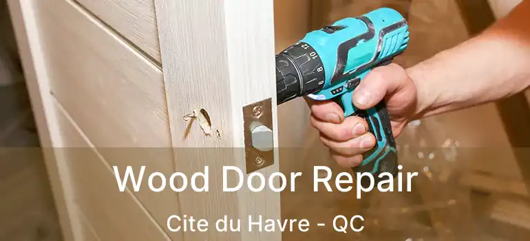  Wood Door Repair Cite du Havre - QC