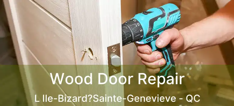  Wood Door Repair L Ile-Bizard?Sainte-Genevieve - QC