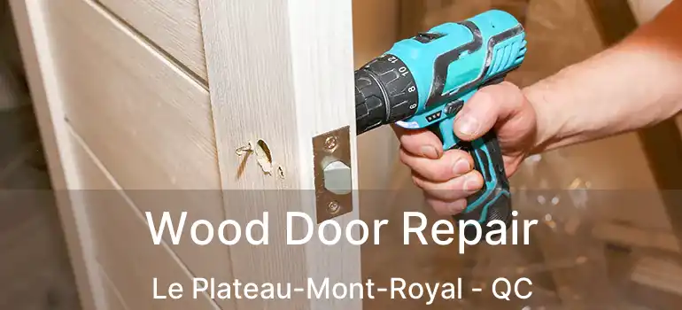  Wood Door Repair Le Plateau-Mont-Royal - QC